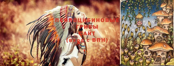 a pvp Аркадак