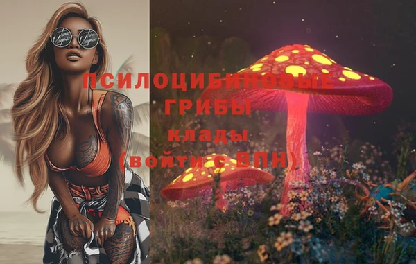 прущая мука Армянск