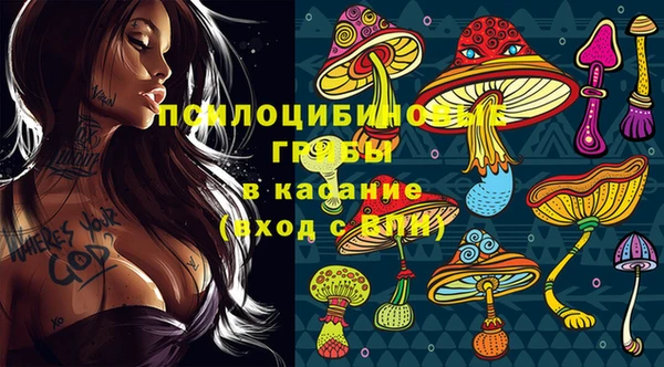 прущая мука Армянск