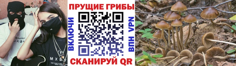 Галлюциногенные грибы мухоморы Нестеров